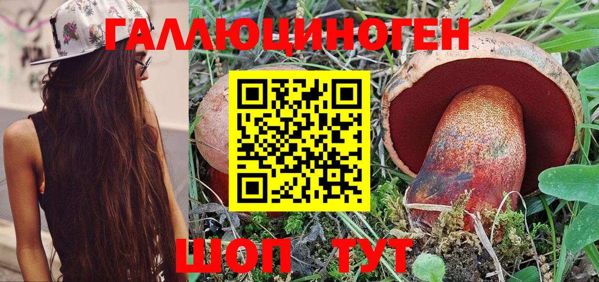 Галлюциногенные грибы Psilocybe Гай
