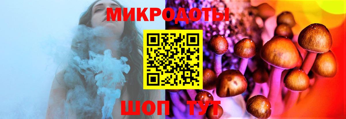 Псилоцибиновые грибы Cubensis  Вход с VPN  Гай 